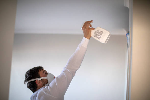 Best Mold Testing  in Sylvania, AL