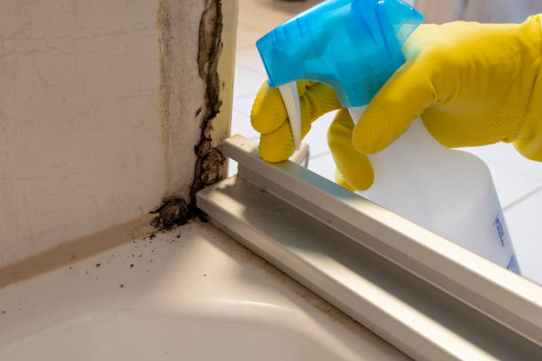 Best Mold Cleaning Services  in Sylvania, AL