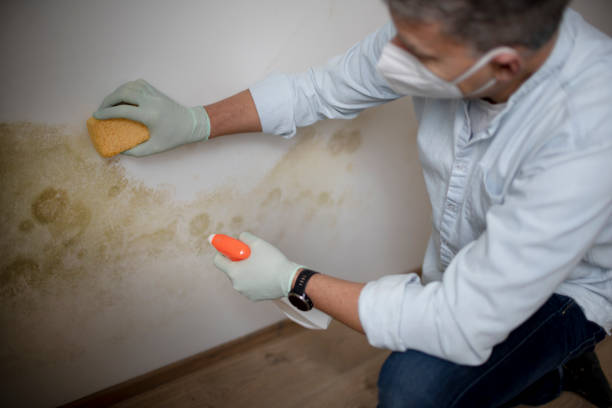 Water Damage Restoration in Sylvania, AL