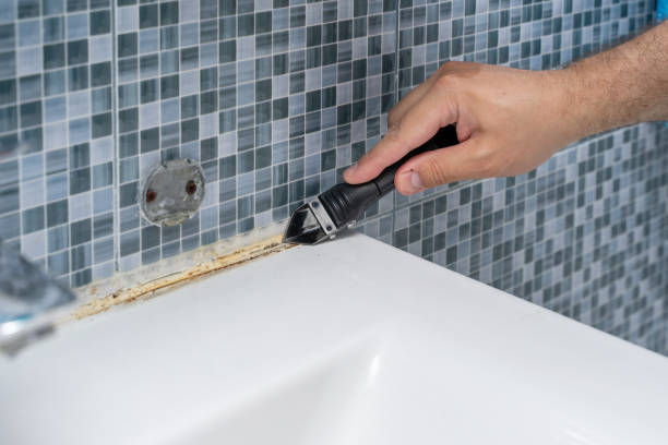 Best Office Mold Removal Services  in Sylvania, AL