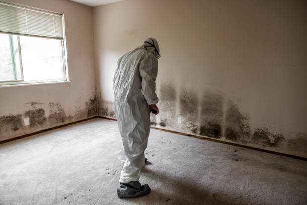 Best Professional Mold Removal  in Sylvania, AL